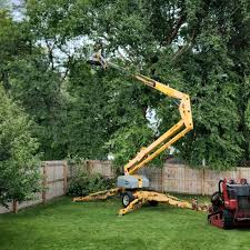 Best Fruit Tree Pruning  in Turpin Hills, OH